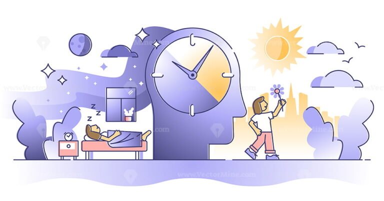 Healthy Human Sleep Cycle Vector Illustration Diagram With Female In Bed And Sleep Stages