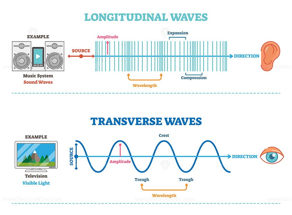 Types Of Longitudinal Transverse And Surface Waves Examples Outline
