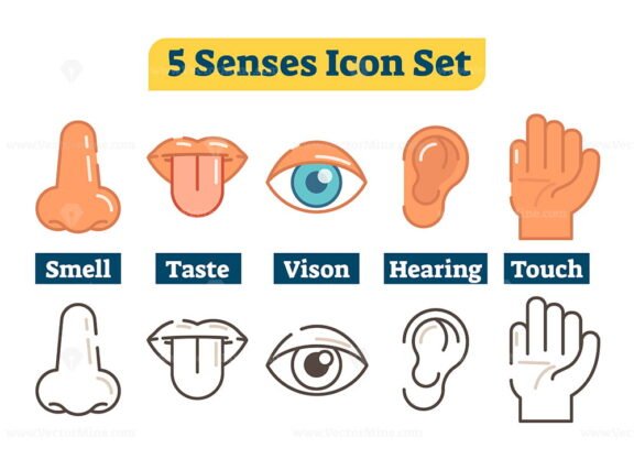 5 Senses Icons Set