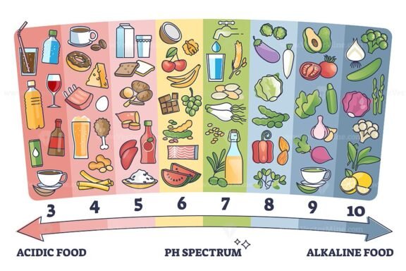 Acidic VS Alkaline foods outline