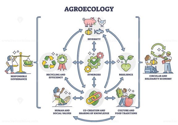 Agroecology outline
