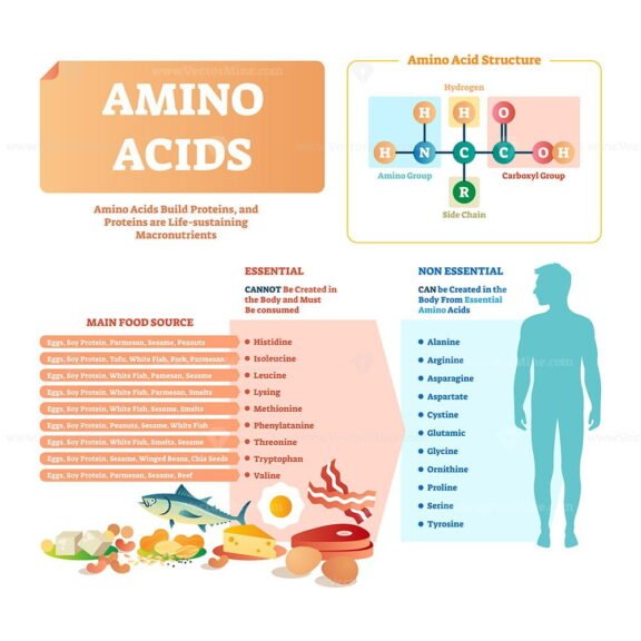 Amino Acids