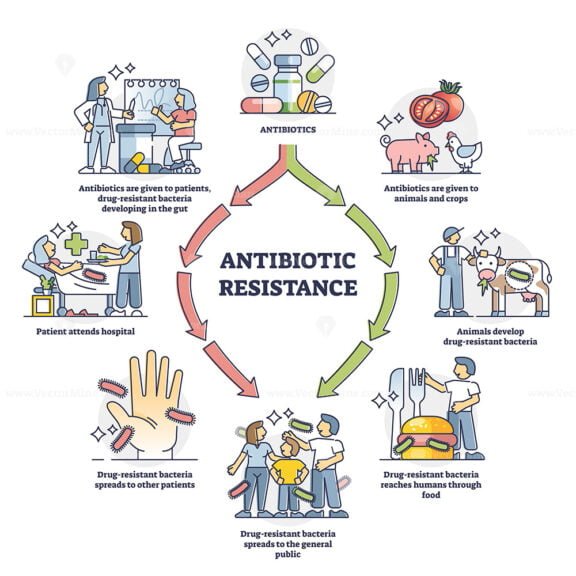 Antibiotic Resistance outline