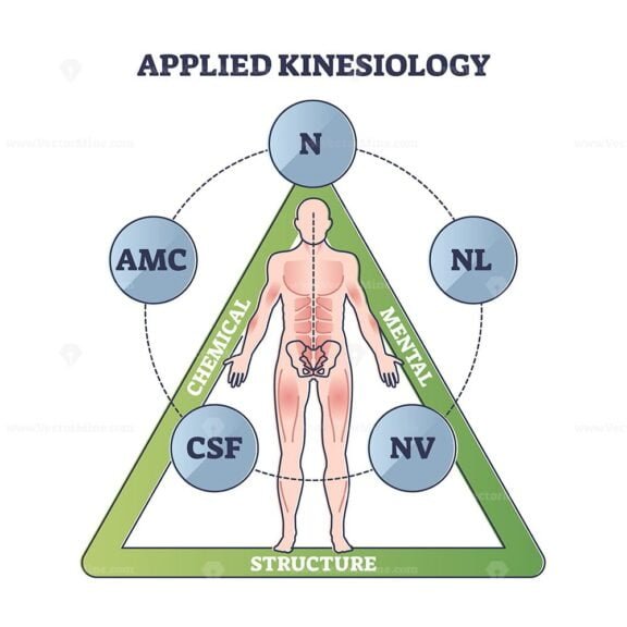 Applied Kinesiology outline
