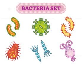 Bacteria Set