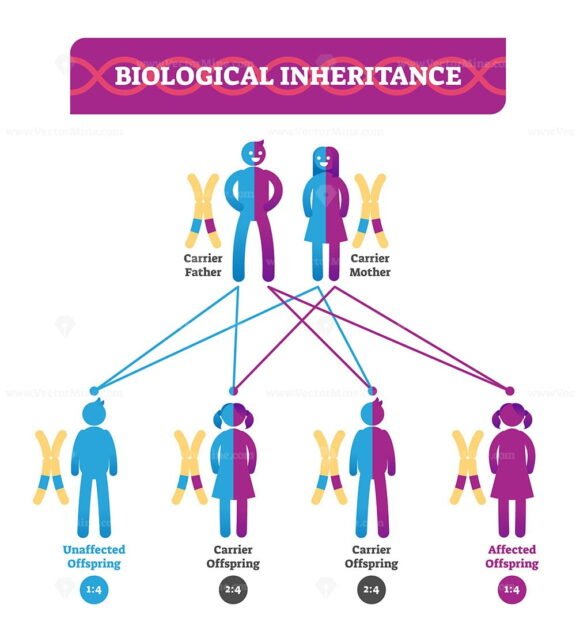Biological Inheritance