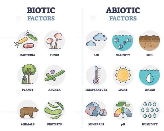 Biotic factors Abiotic factors outline