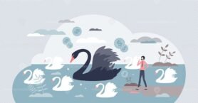 Black Swan Outlier