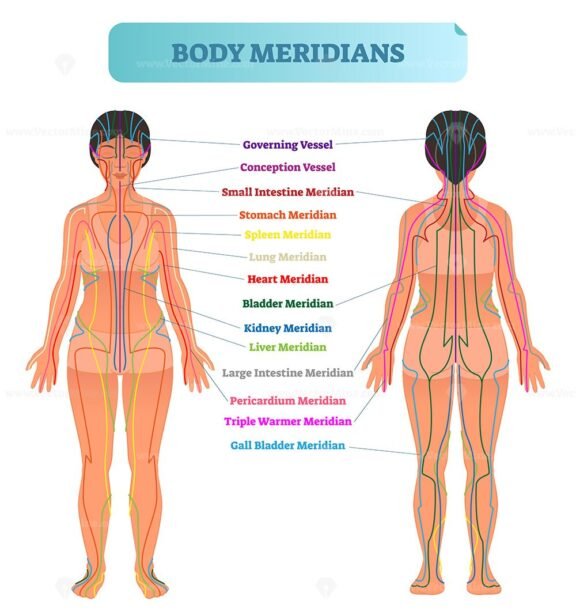 Body Meridians V1