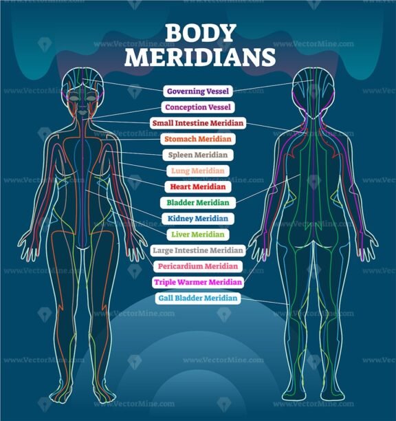 Body Meridians V3