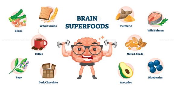 Brain Superfoods V2