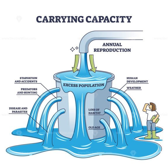 Carrying Capacity outline diagram