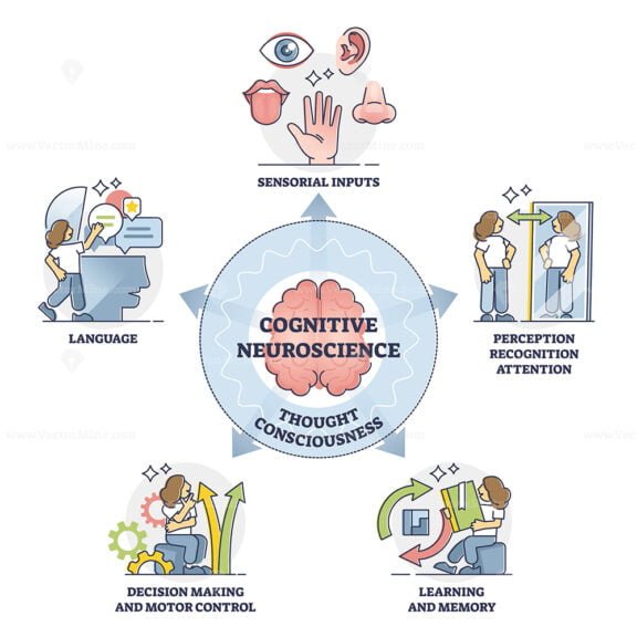 Cognitive Neuroscience outline diagram
