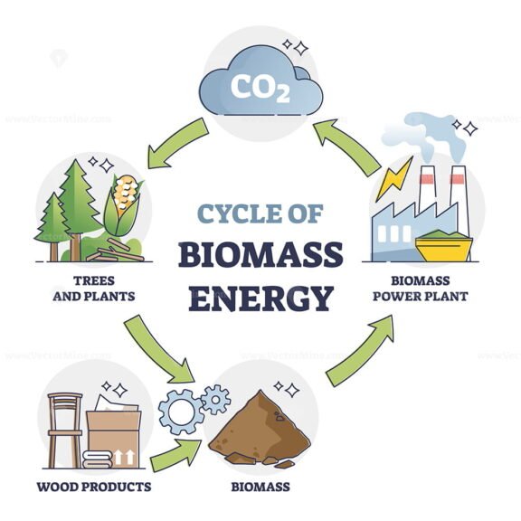 Cycle of Biomass Energy outline