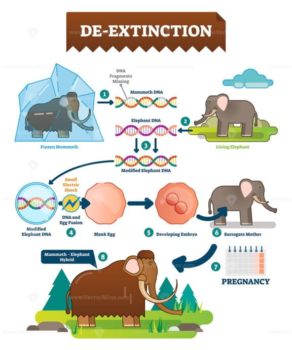 De extinction Infographic