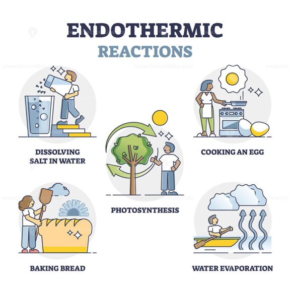 Endothermic Reactions outline set