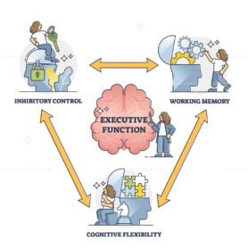 Executive Function outline