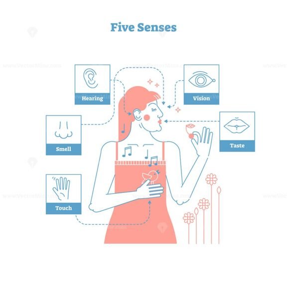 Five Senses Art