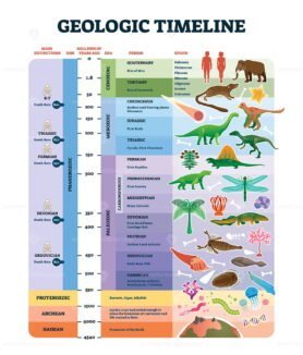 Geologic timescale