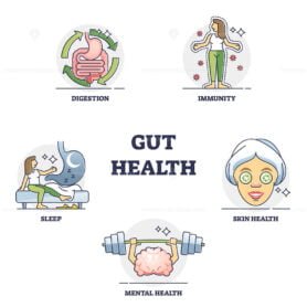 Gut health outline set