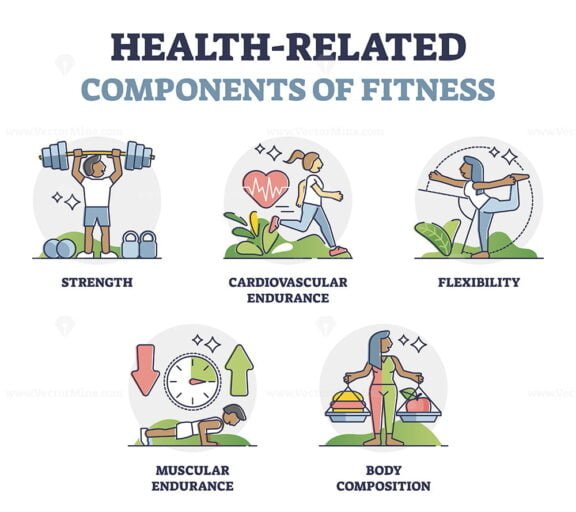 Health Related Components of Fitness outline