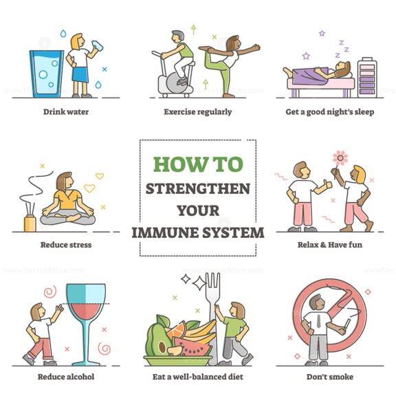 How to strengthen your immune system outline