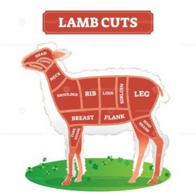 Lamb Cuts 2