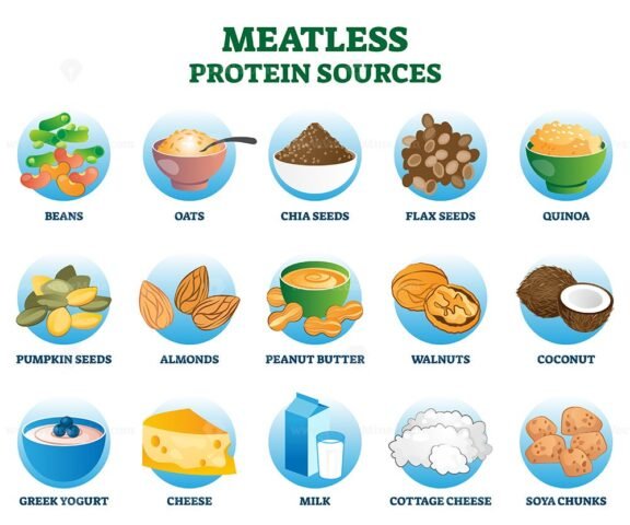 Meatless Protein Sources