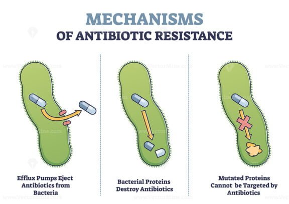 Mechanisms of Antibiotic Resistance outline diagram