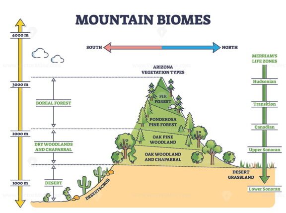 Mountain Biomes outline