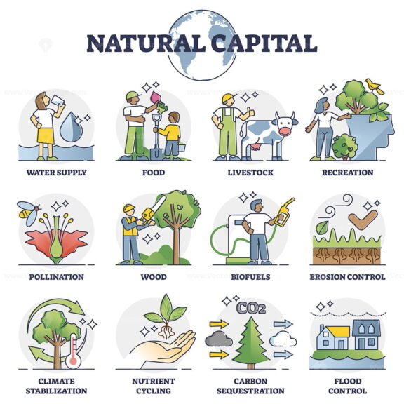 Natural Capital outline set