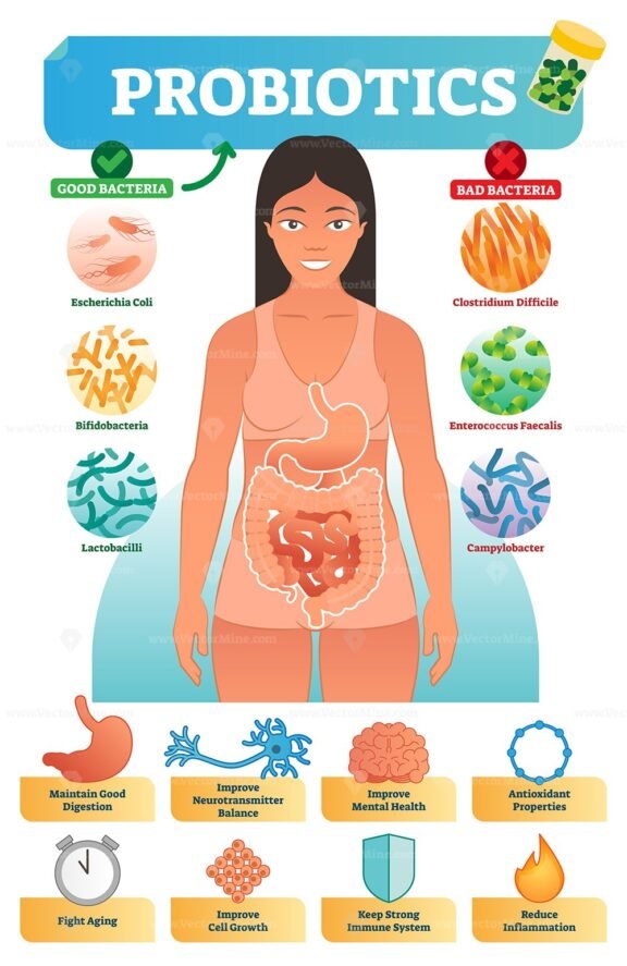 Probiotics Infographic
