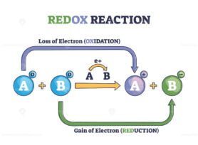 Redox outline diagram