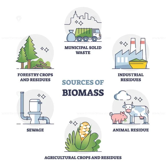 Sources of Biomass outline