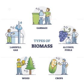 Types of Biomass outline
