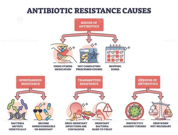 antibiotic resistance causes outline diagram 1