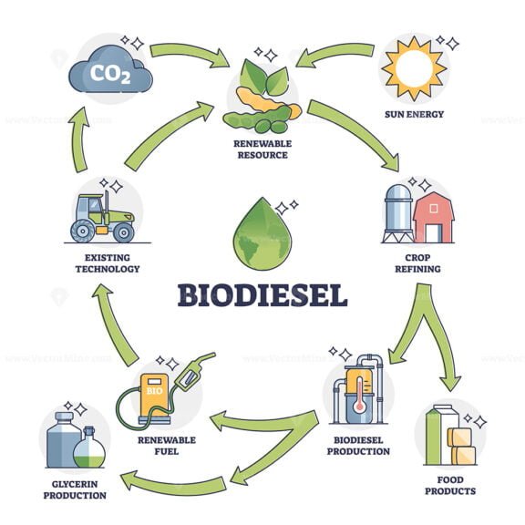 biodiesel outline diagram 1