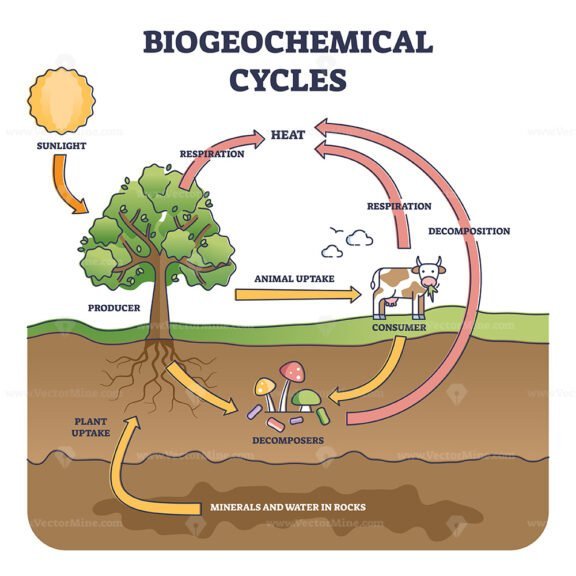 biogeochemical cycles outline diagram 1