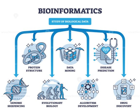 bioinformatics 2 outline diagram 1