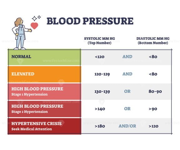 blood pressure outline diagram 1