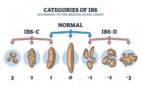 categories of ibs according to the bristol stool chart outline diagram 1