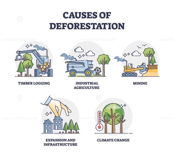 causes of deforestation outline set 1