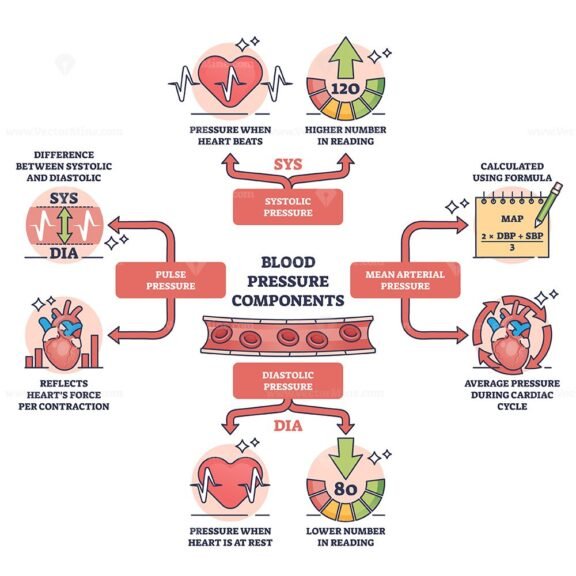 components of blood pressure outline diagram 1
