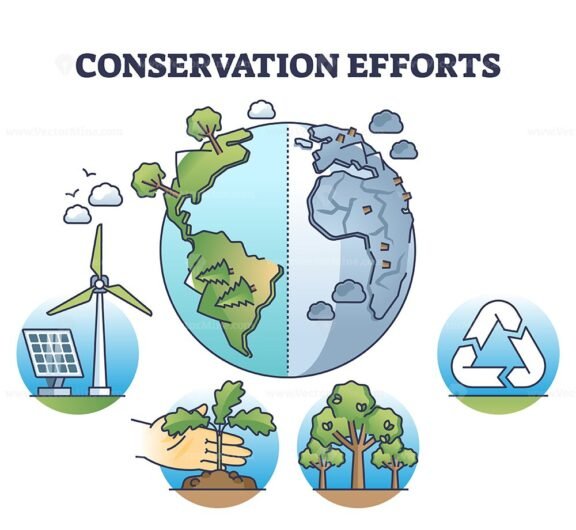 conservation efforts v2 outline diagram 1