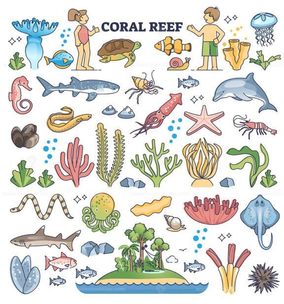 coral reef kids outline set 1