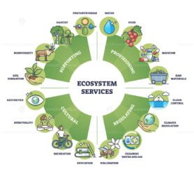 ecosystem services and nature based solutions outline diagram 1