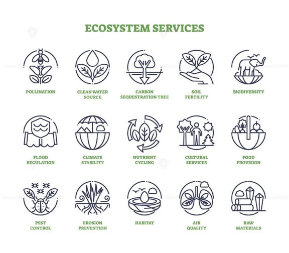 ecosystem services icons outline 1