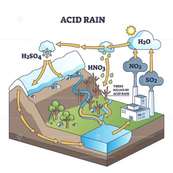 effects of acid rain on plant life outline diagram 1