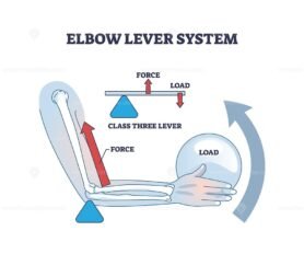 elbow lever system outline 1
