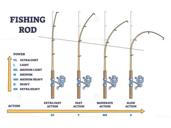 fishing rod power vs action outline 1